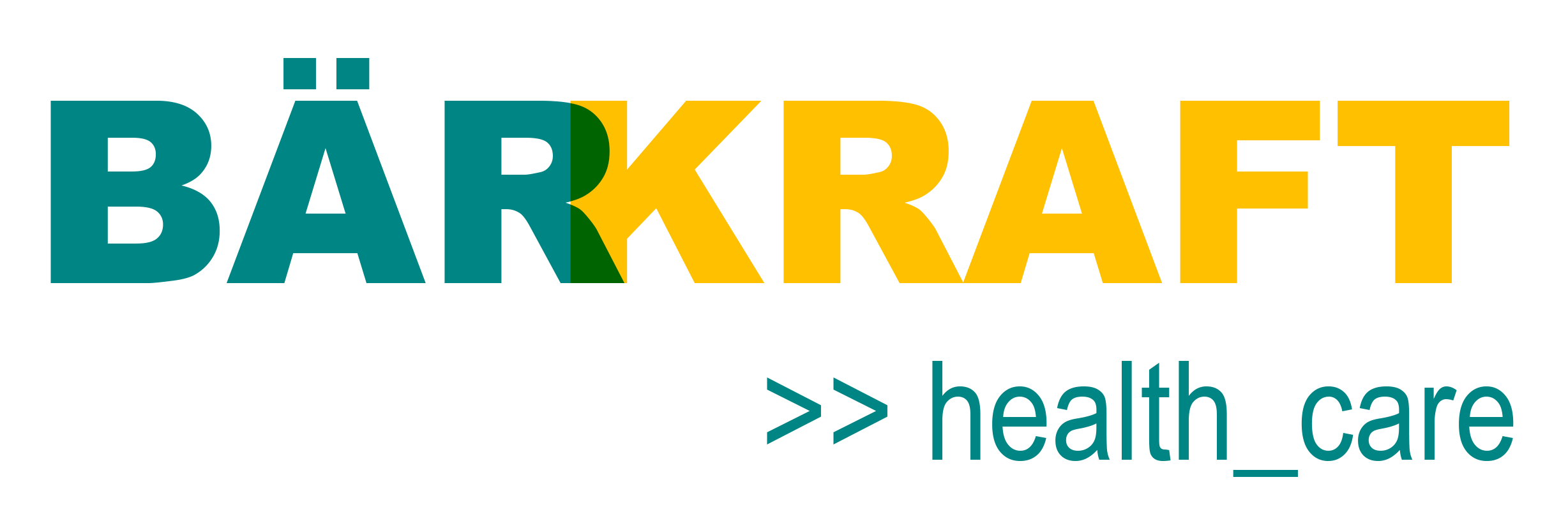 Logo BÄRKRAFT KG